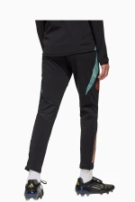 Штаны adidas FC Bayern 24/25 Training Junior - черный