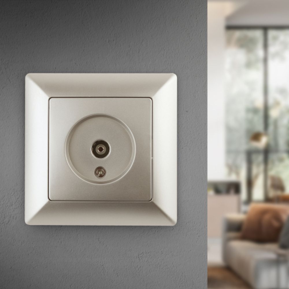 Розетка Intro Solo 4-301-04 TV одиночная, СУ, шампань