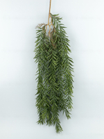 Ампельный вереск Арес