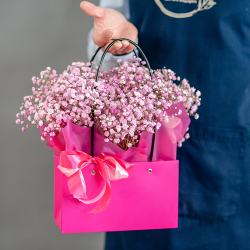 Сумочка розовой гипсофилы