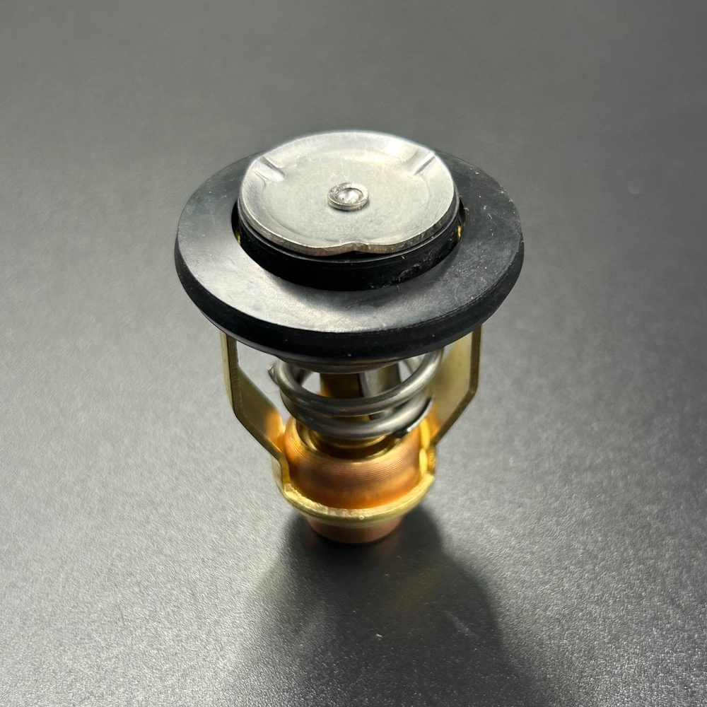 Термостат Yamaha F75-250 (Omax)