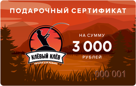 Подарочная карта номиналом 3 000 руб.