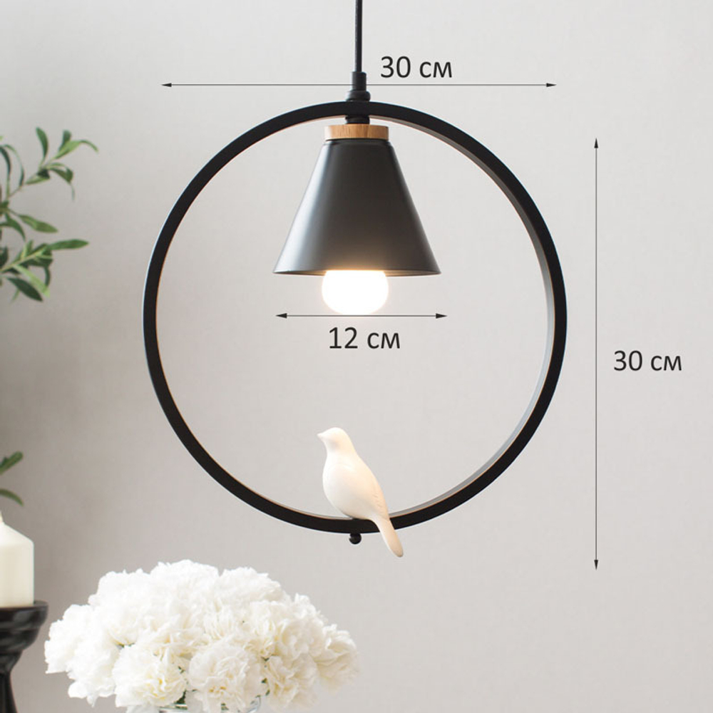 Подвесной светильник Home Light Астерия MMD-LED A043-5-1xE27 черный