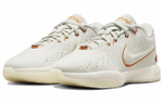 Кроссовки Nike Lebron 21 Ep "Akoya" 21 Lbj21