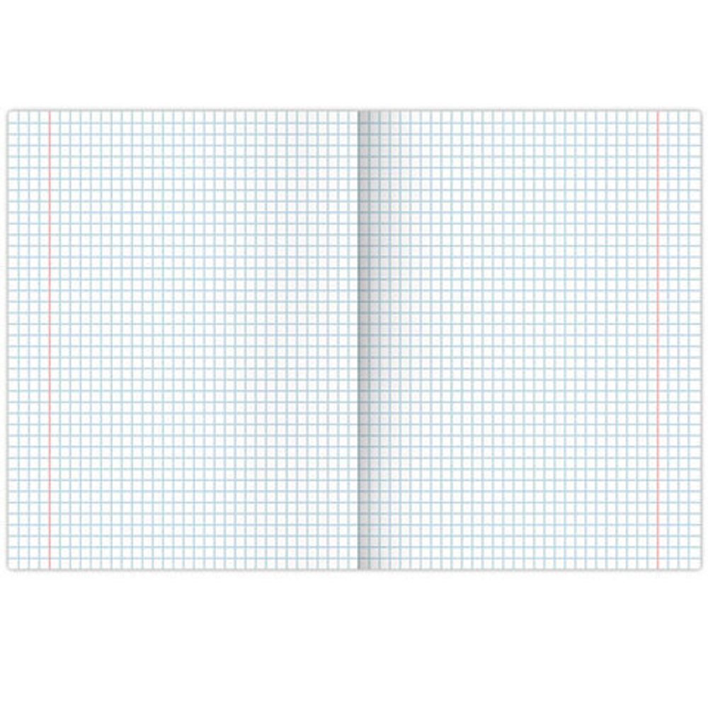 Тетрадь А5, 96 л., BRAUBERG, скоба, клетка, глянцевая ламинация, "Nature", 404427, 1шт