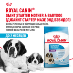 Royal Canin Giant Starter Mother & Babydog Джайнт Стартер Мазе энд Бебидог Корм для щенков гигантских пород в период первой фазы и отъема 15кг