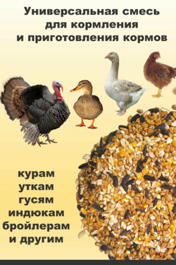 Зерносмесь для птиц и животных, 40 кг в Пос Ропша, Аннино, Софийская.