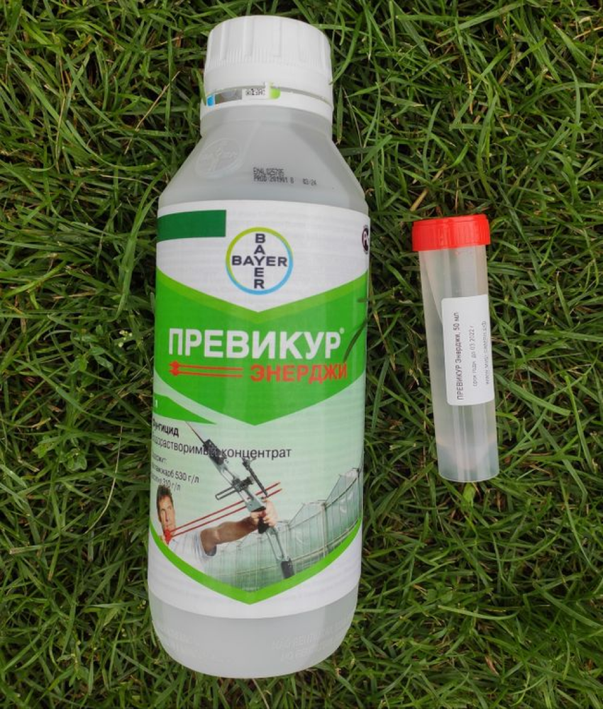 Превикур Энерджи 15 мл ручная фасовка Закупка М33 в наличии