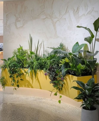 Дивайдеры - зеленые перегородки