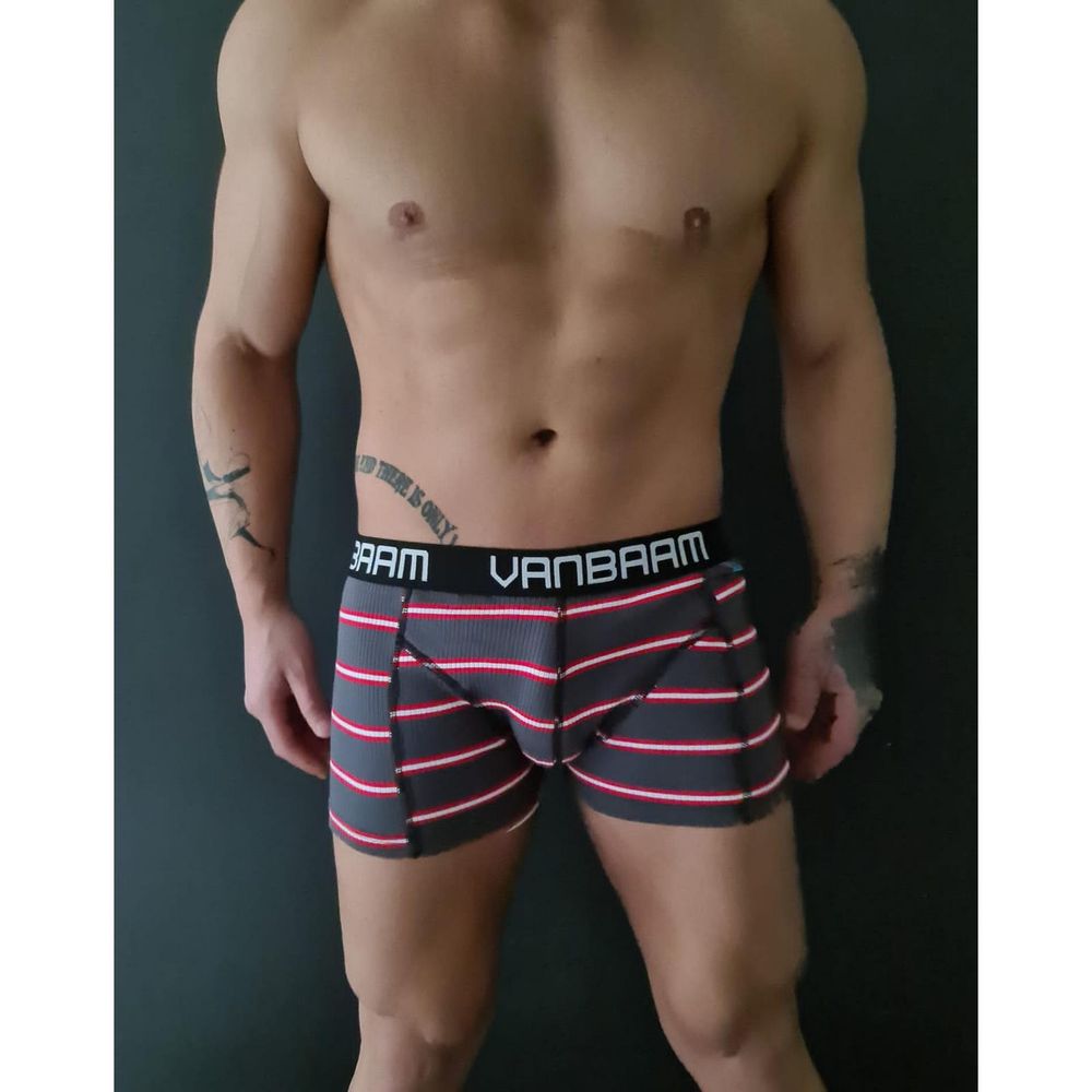 Мужские трусы боксеры темно-серые в полоску Van Baam 48129