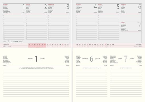 Еженедельник Week and Day