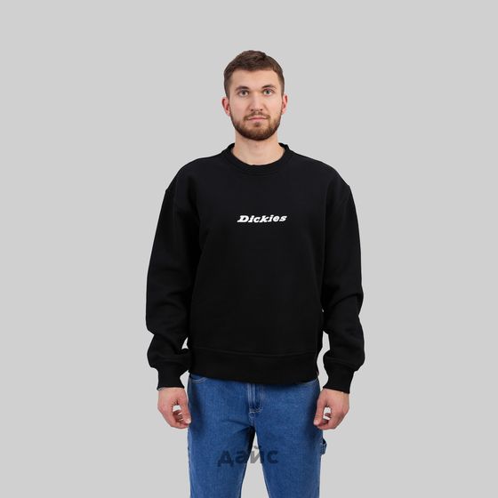 Толстовка мужская Dickies Enterprise Sweatshirt артикул:DK0A4Z4KBLK1 - купить в магазине Дайс