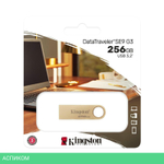 USB Flash-накопитель Kingston Data Traveler SE9 G3 256Gb (DTSE9G3/256GB)
