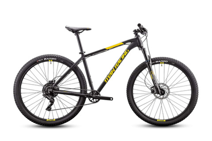 Горный велосипед Titan Racing Rogue Cruz (2024)