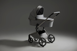 Детская коляска Anex Flo 2 в 1 Frossy