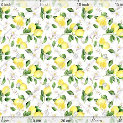 Лимоны с зелеными листьями и цветами на белом фоне by ArtNata 566 DPI