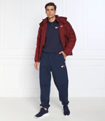 спортивные штаны Tommy Jeans - темно-синий(DM0DM14272)