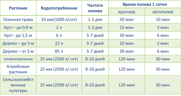 Нормы полива для ягодных кустарников, плодовых деревьев, овощей