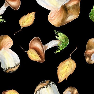 Осенние грибы на черном фоне