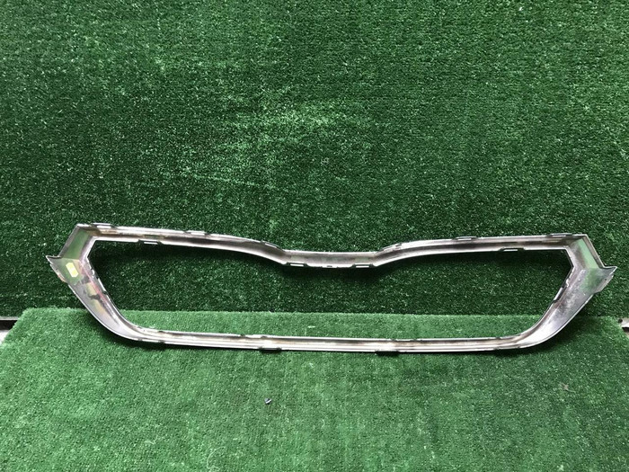 Молдинг решетки радиатора Skoda Rapid 2 (2020-нв)