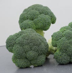 Корос F1 семена капусты брокколи (Clause / Клос)