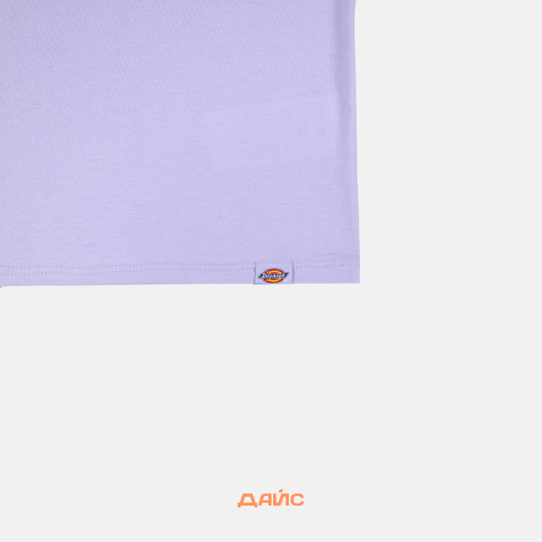 Футболка мужская Dickies Saltville Tee артикул:DK0A4YR9H181 - купить в магазине Дайс