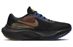 Кроссовки Nike Zoom Fly 5 "A.I.R. Hola Lou"