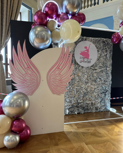 Фотозона на концерт #1508