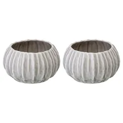 Набор из 2 салатников actinia серого цвета из коллекции sea treasures