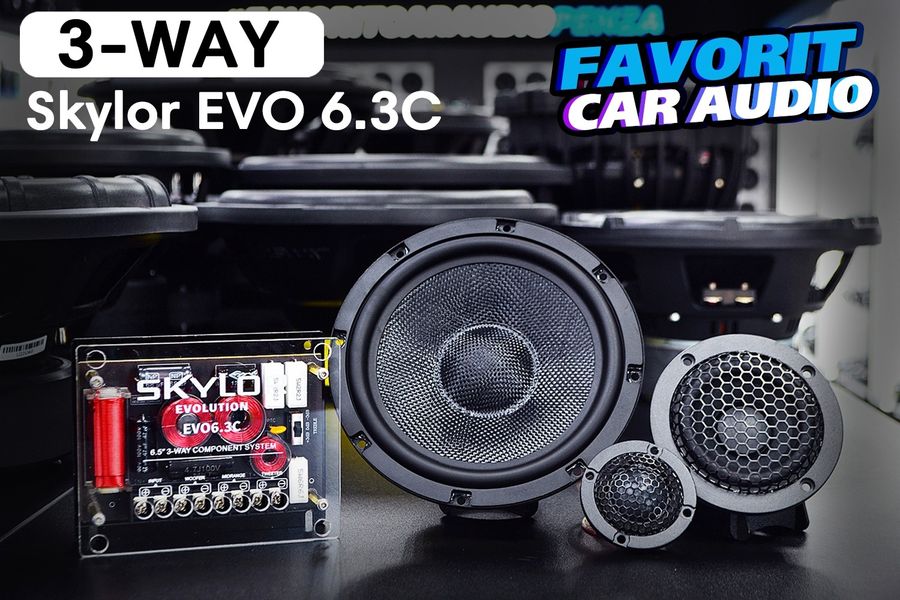 ТРИ ПОЛОСЫ за 15 300 рублей