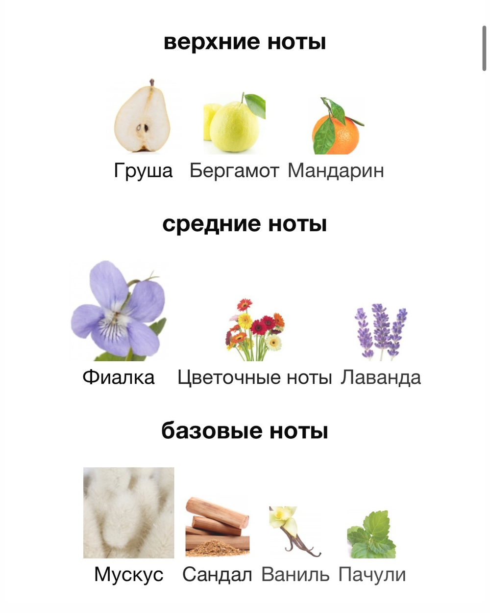 Palatine Parfums de Marly