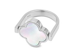 Кольцо трансформер