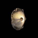 Настенный светильник Loft It Bloom 10352W/A AB