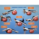 Фитбол Sportage 75 см 900гр с насосом, голубой