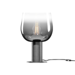 Настольный светильник Maytoni MOD414TL-01B