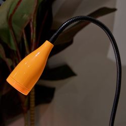 ULM-D501 4W-4000K ORANGE Светильник настольный светодиодный прищепка. Механический выключатель. Оранжевый. TM Uniel