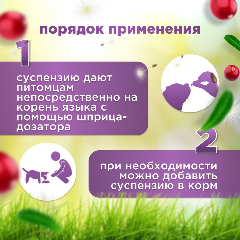 Кормовая добавка для нормализации и улучшения мочевыделительной системы и профилактики цистита, суспензия для собак Стоп-цистит БИО (Apicenna), 50мл