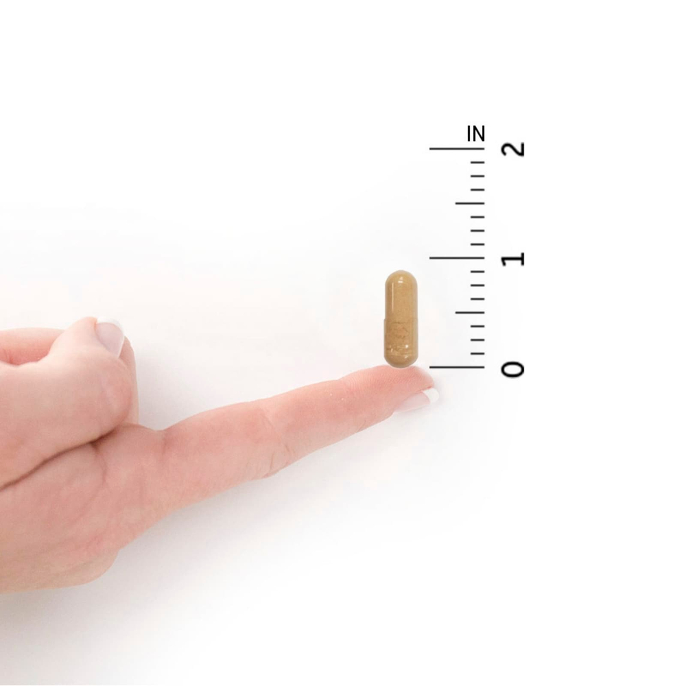 Garden of Life, RAW Probiotics, для женщин от 50 лет, 90 вегетарианских капсул