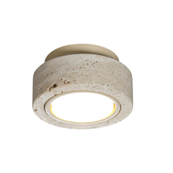 Потолочный светильник ODEON LIGHT 6625/1C