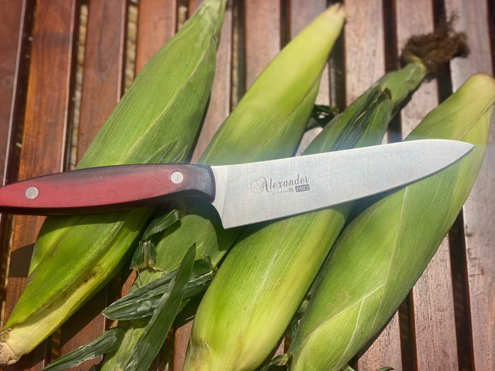 Комплект из трех ножей Alexander AUS-8 G10 (S, M Pro, L Pro), подставки и стального мусата