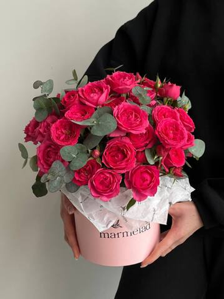 собран сегодня #02