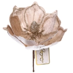 Украшение новогоднее «Пуансеттия - Симфония» 21 см, Шампань