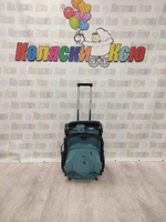 Коляска прогулочная Baballo Future 2024 бирюзовая (черная рама)