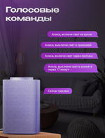Умный двухклавишный выключатель "Алиса", с Wi-Fi и подсветкой, встраиваемый, серый