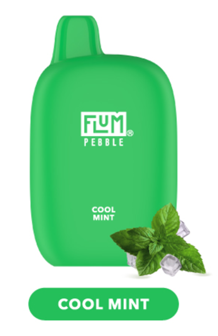 FLUM Pebble Cool mint (Ледяная мята) 6000 затяжек 20мг (2%)