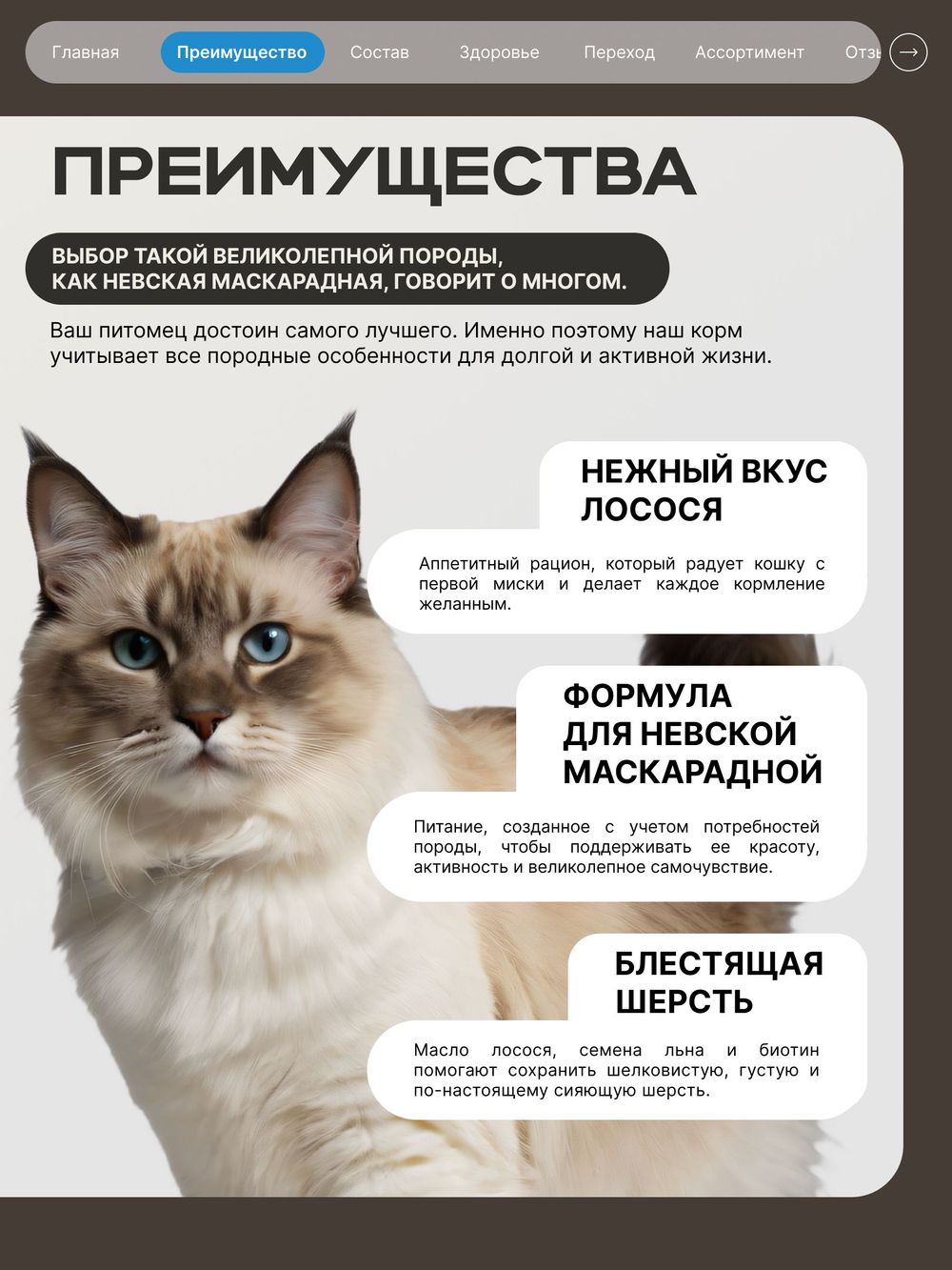 Корм сухой для взрослых кошек породы Невская маскарадная, с лососем, 400 гр, QUATTRO