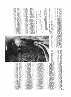 Атлас звездного неба | Я. Гевелий