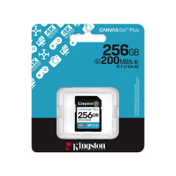 Карта памяти Kingston SDG4/256GB Canvas Go Plus Gen4 C10 UHS-I U3 V30 256GB