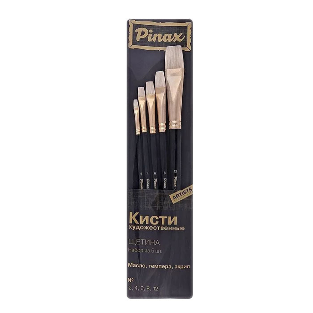Набор Щетина 5шт.Pinax Artists CLASSIC