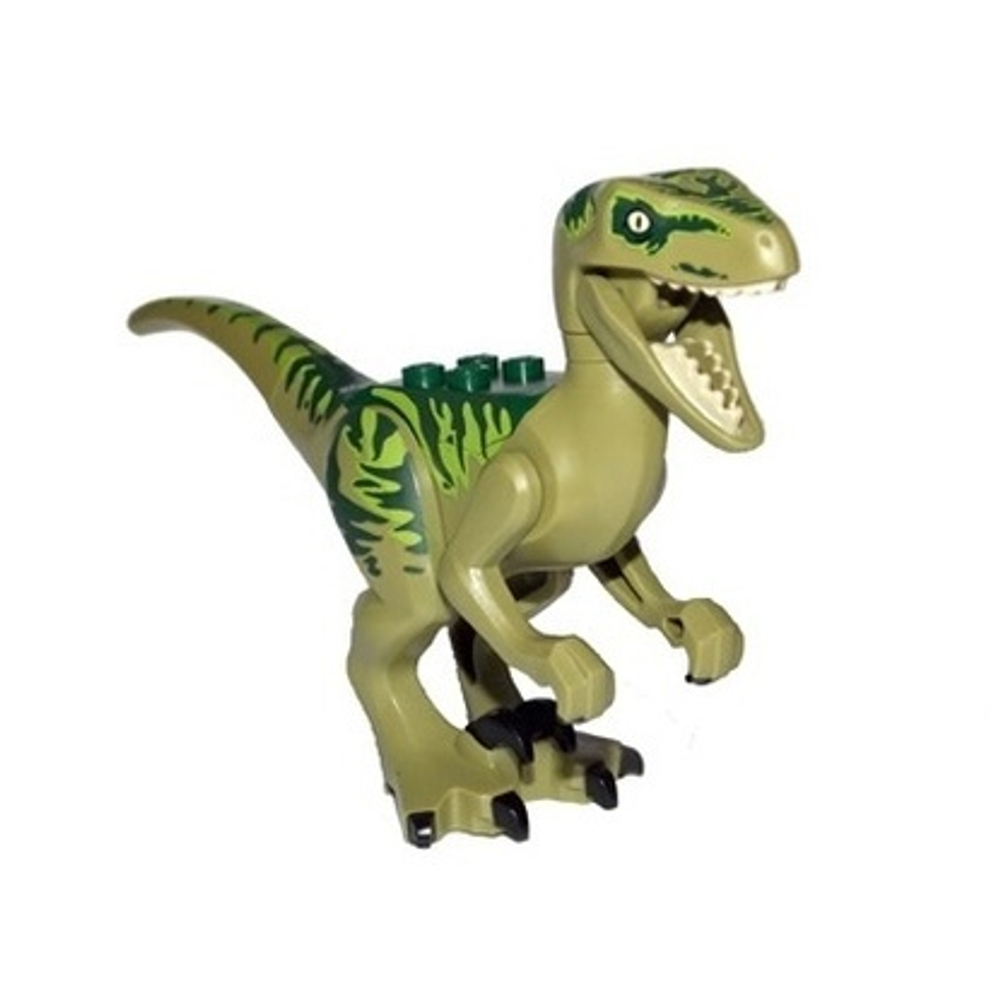 Динозавр-раптор/ Velociraptor Raptor04